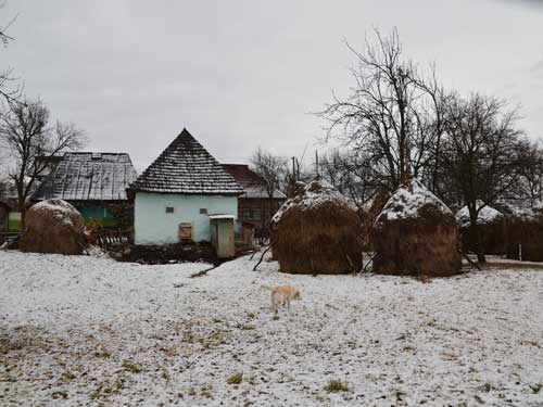 Foto Clai multe, vite si oi (c) Petru Goja